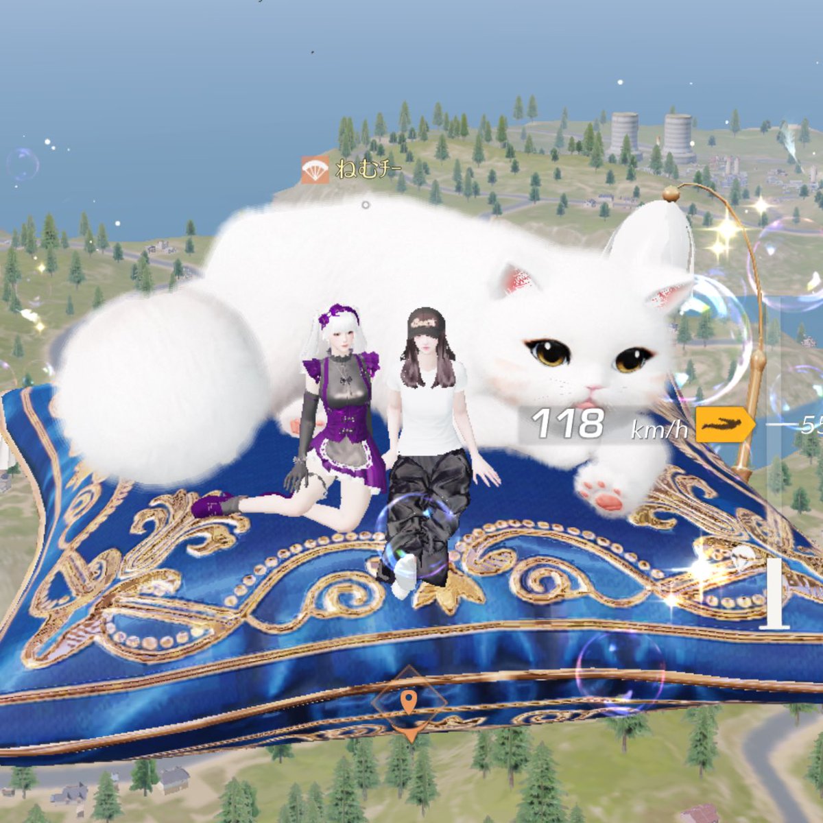 ぴなち仔。 tweet media