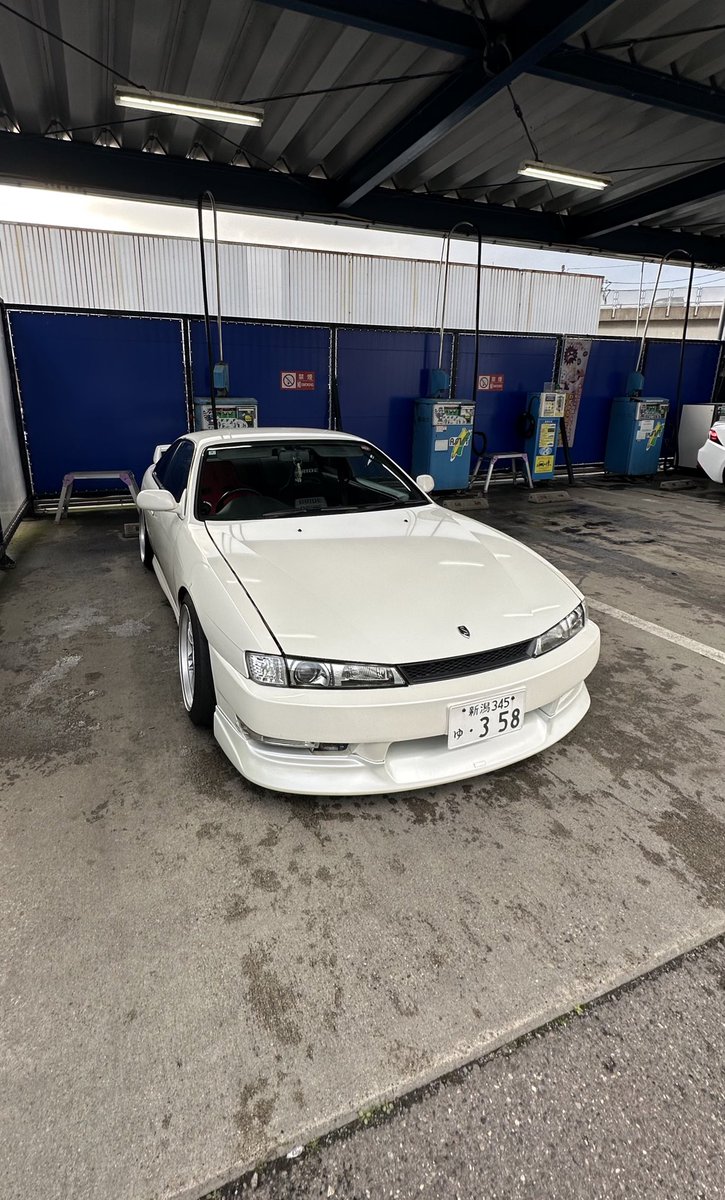 🧚‍♀️ tweet media