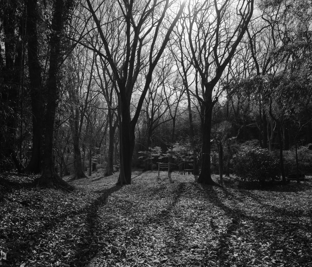 タケル｜山と写真 SUMMIT WORKS tweet media