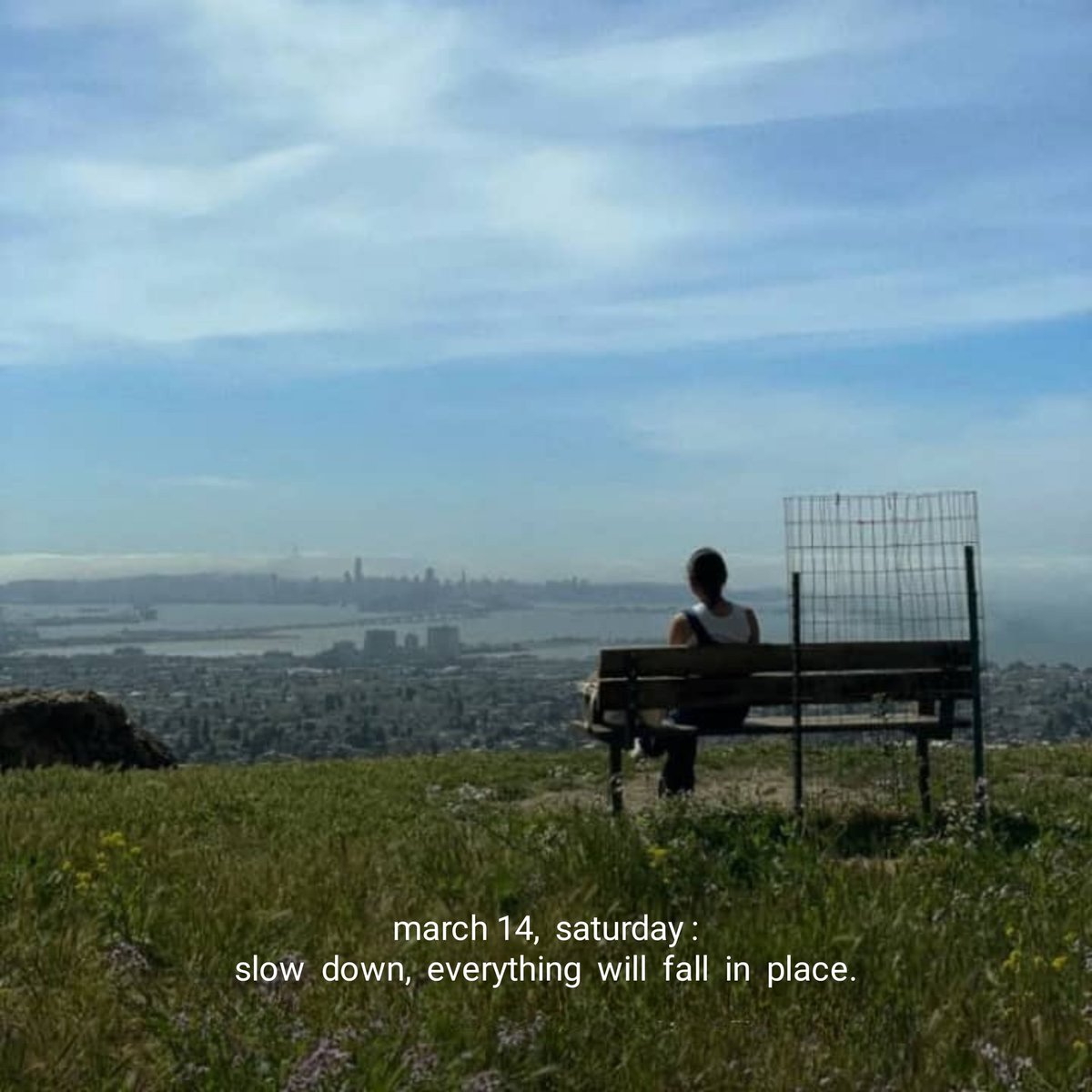 mood novella tweet media