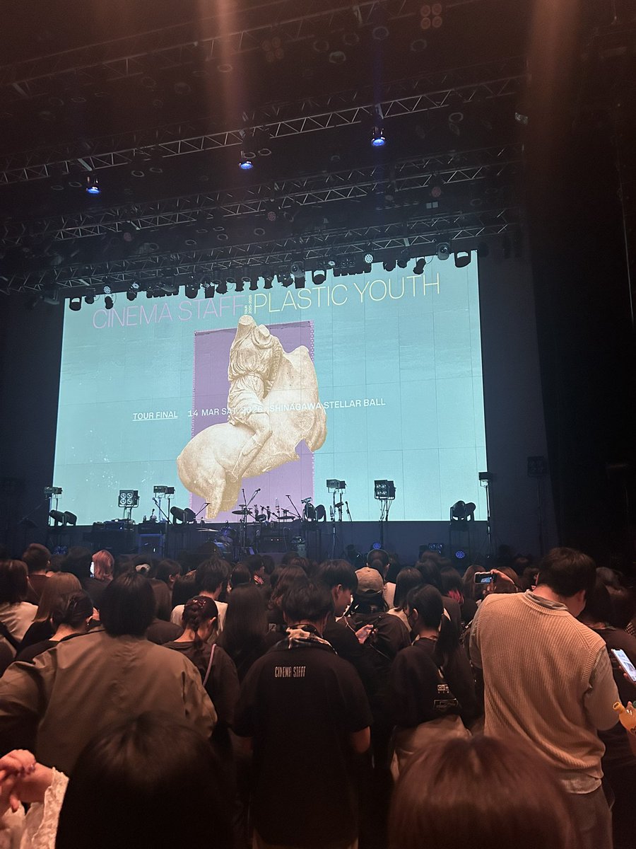 たぬ!きんぐ! tweet media