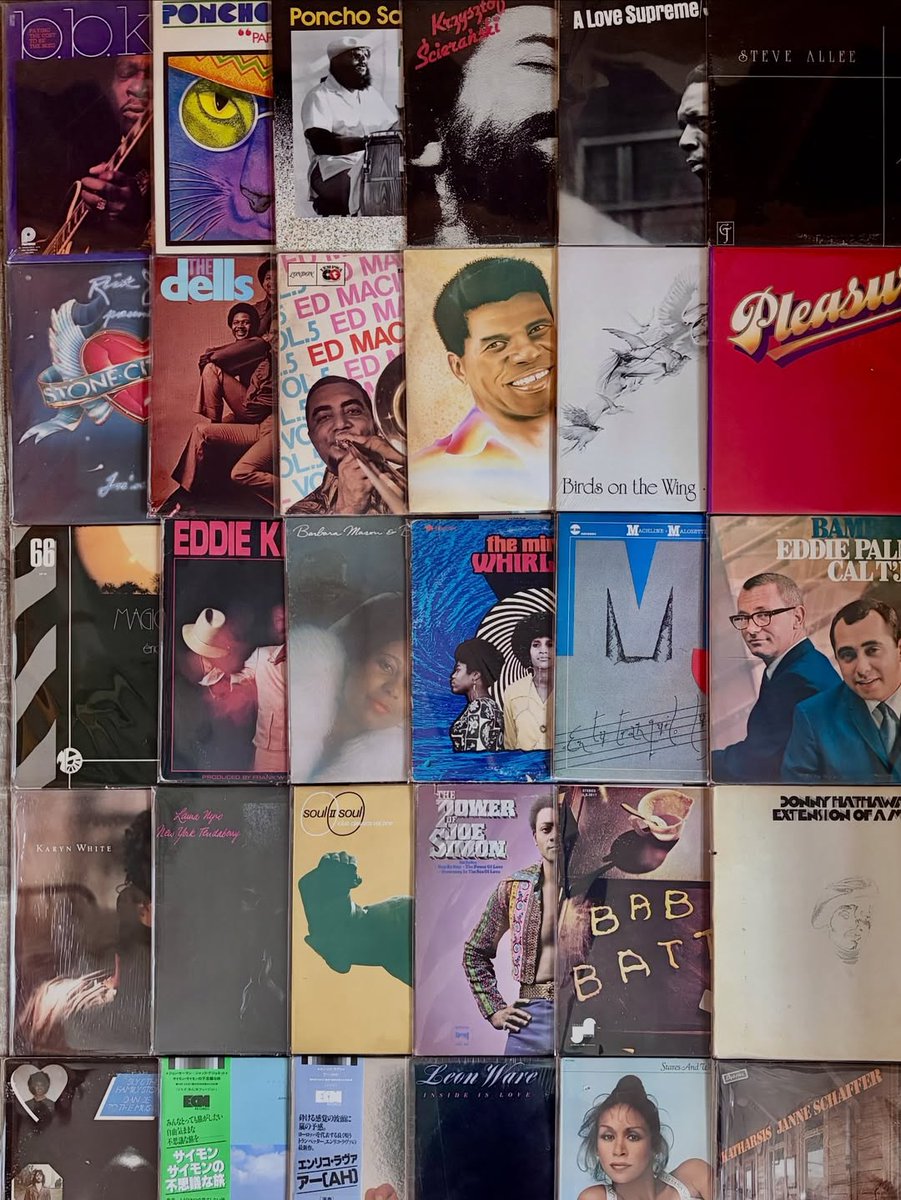 ams0705's tweet photo. <入荷情報 -new arrival-> #Jazz #Soul #RareGroove #Rock #Raggae など60枚ほど店頭に入荷しております。皆様のご来店お待ちしております #newarrivals #recordstore #vinylrecords #vinylcollector #samplingsource #lprecords #lpレコード #レコード店 #中古レコード #茅ヶ崎 #amsterdamrecord https://t.co/RbODKbOT1x