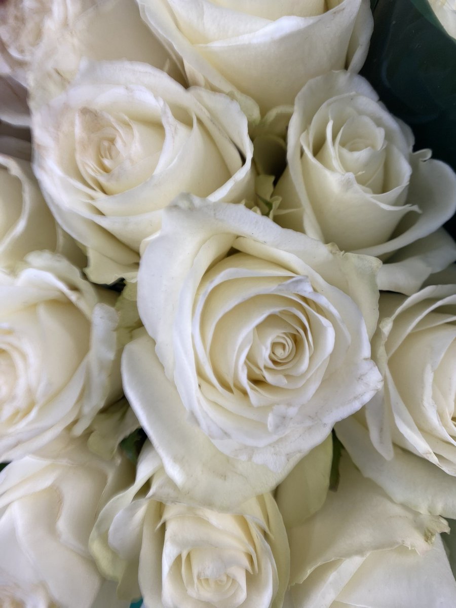 Tuncay Sonel tweet media