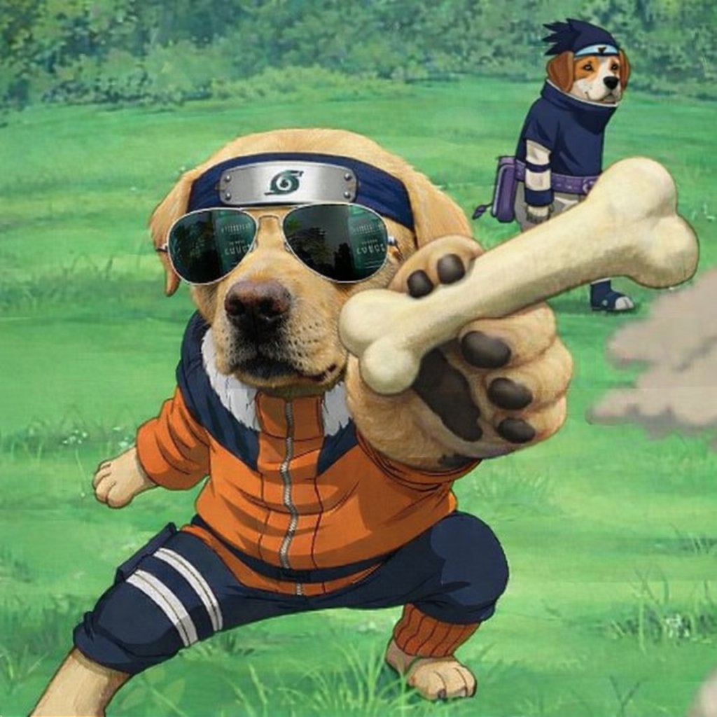 <a href="/mert/">mert</a> Yo mert low cap high LP
$DOG fundamentals for a meme at $1M MC look solid.
~$453K liquidity across pools giving the chart real support.
Add a loyal pack and daily 1 SOL bone rewards, and the energy stays high. 🦴📈
<a href="/CryptoDogHD/">The Crypto Dog Meme Official</a>
21CnrFRqvEVkQZUTFmTXjcsJTLZhRY51ohoaCPwRpump