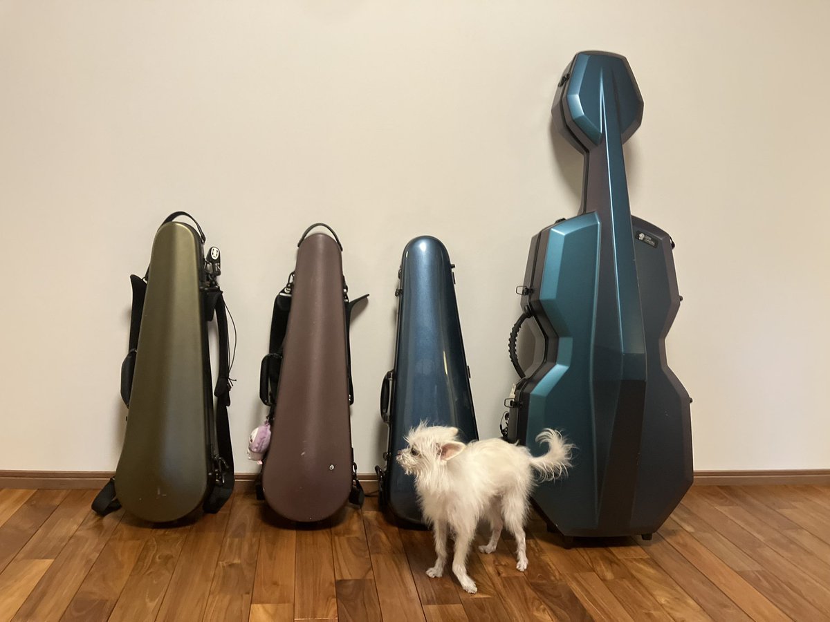 鈴木博文 / メトロトロン・レコード tweet media