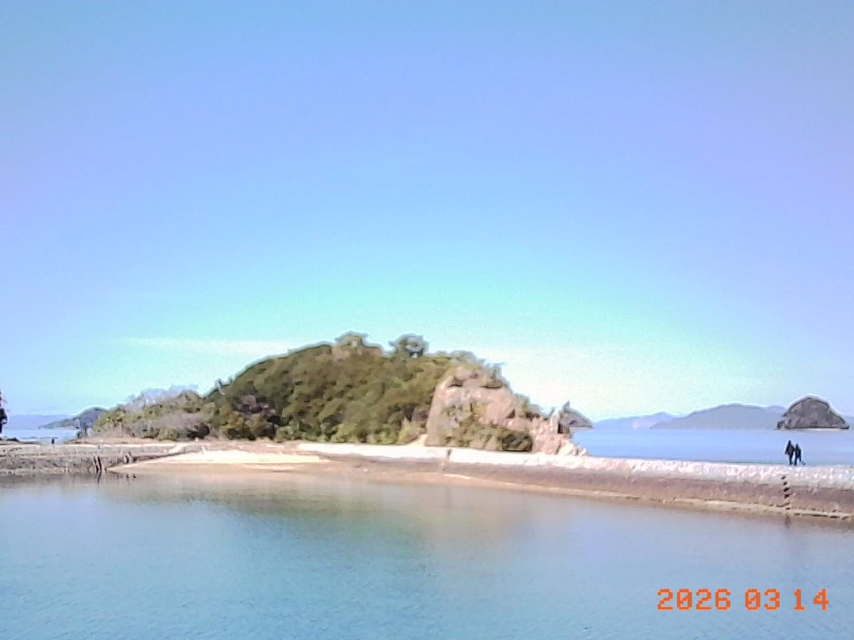 フル / 𝙁𝙪𝙧𝙪 ➤ tweet media