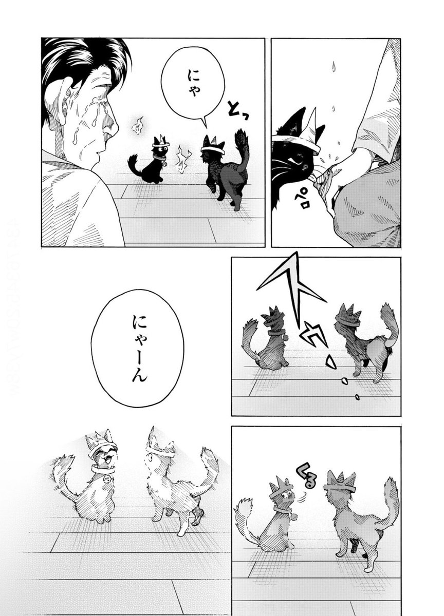 (10/11) 