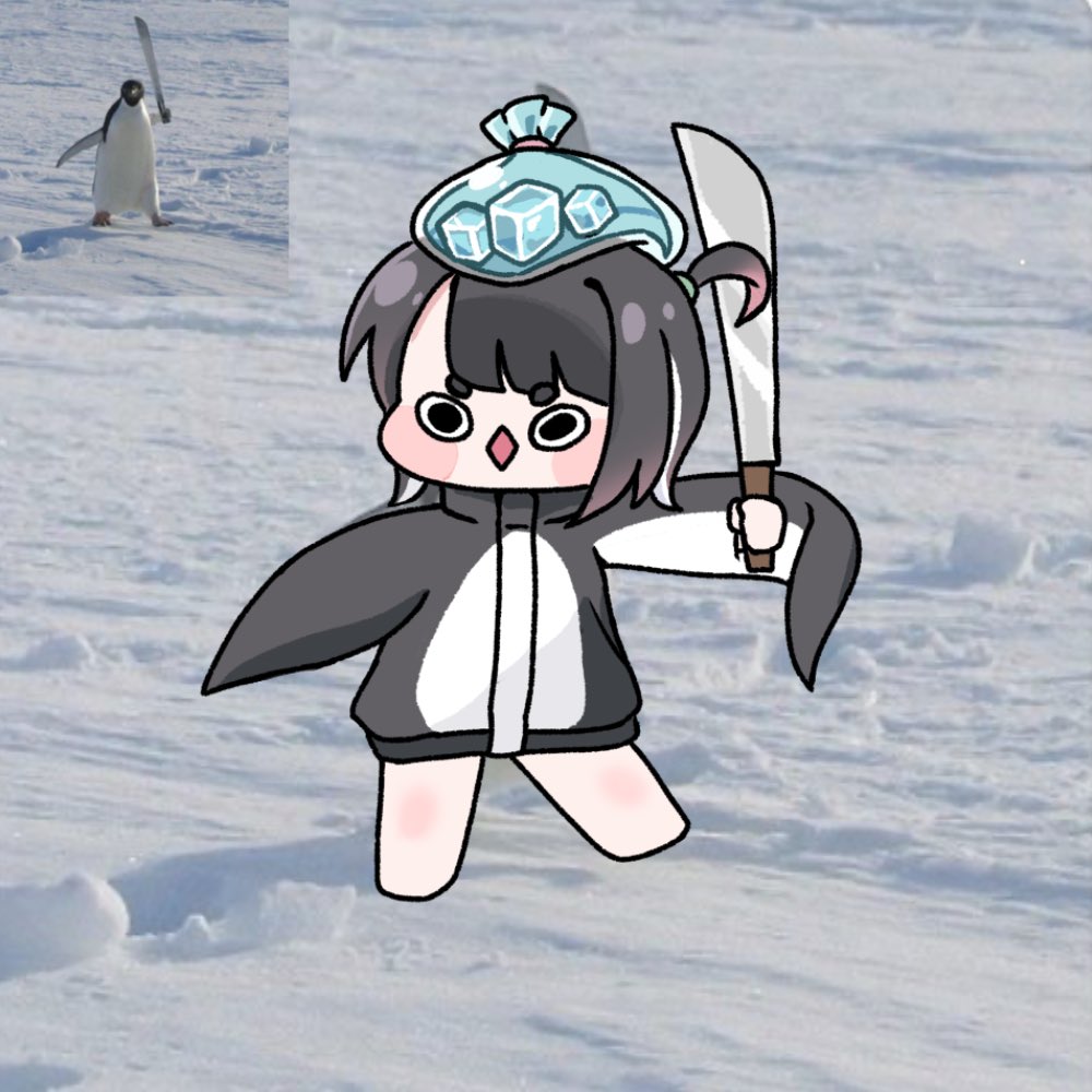 상어핀식sharkoo tweet media