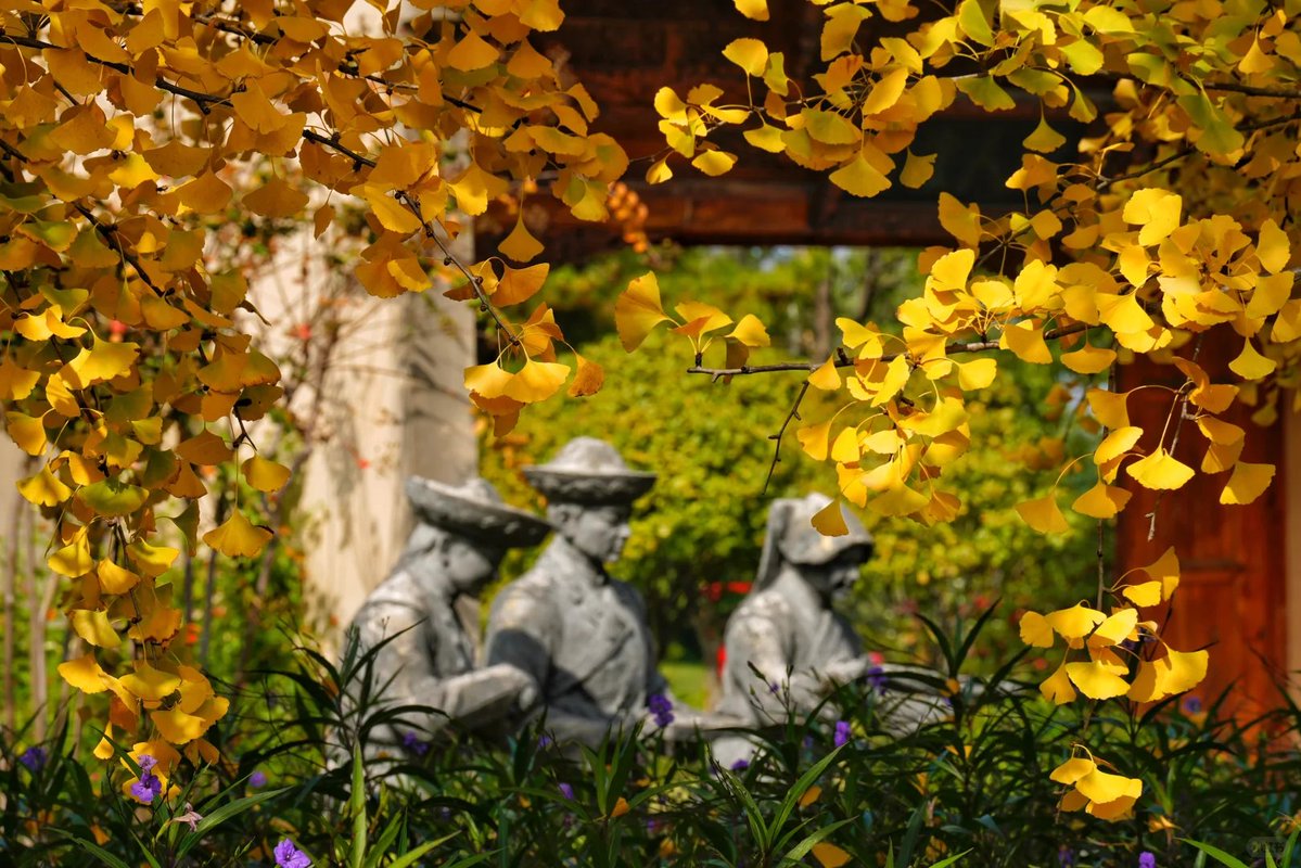 Buffett 📈 Trading Advisor tweet media