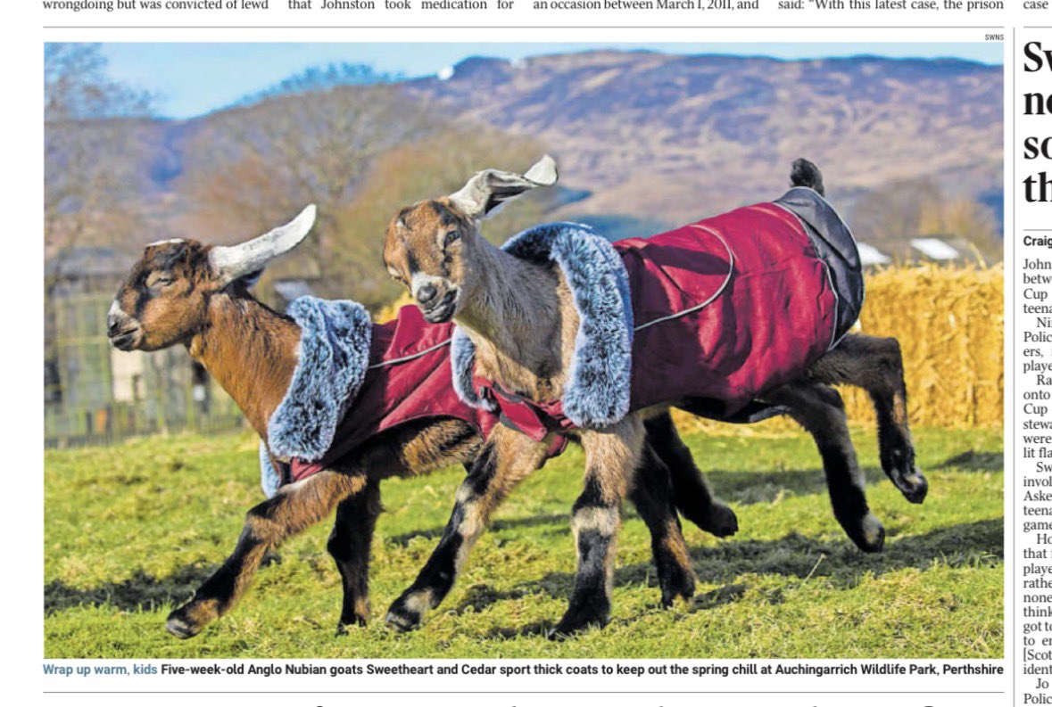 ARROWSMITH🏴 tweet media