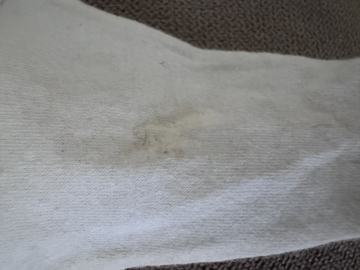 Pantis xxx tweet media