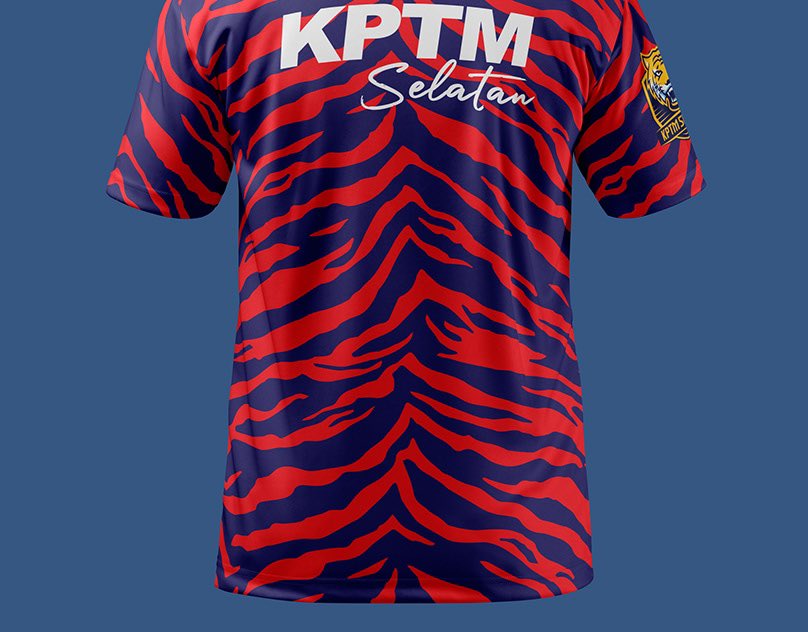 Good jersey. The designer has put a lot of effort and creativity into it.