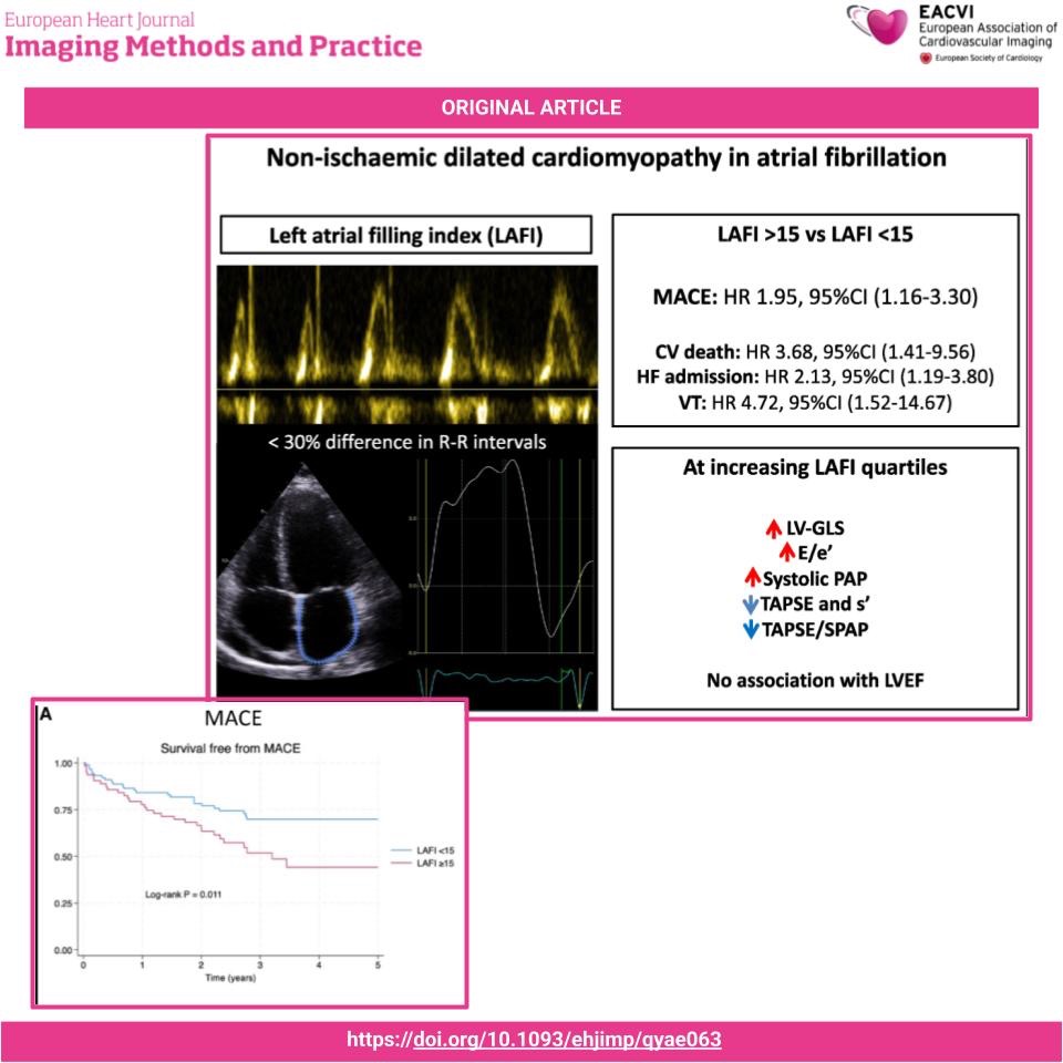 EHJ-IMP Editor-in-Chief tweet media