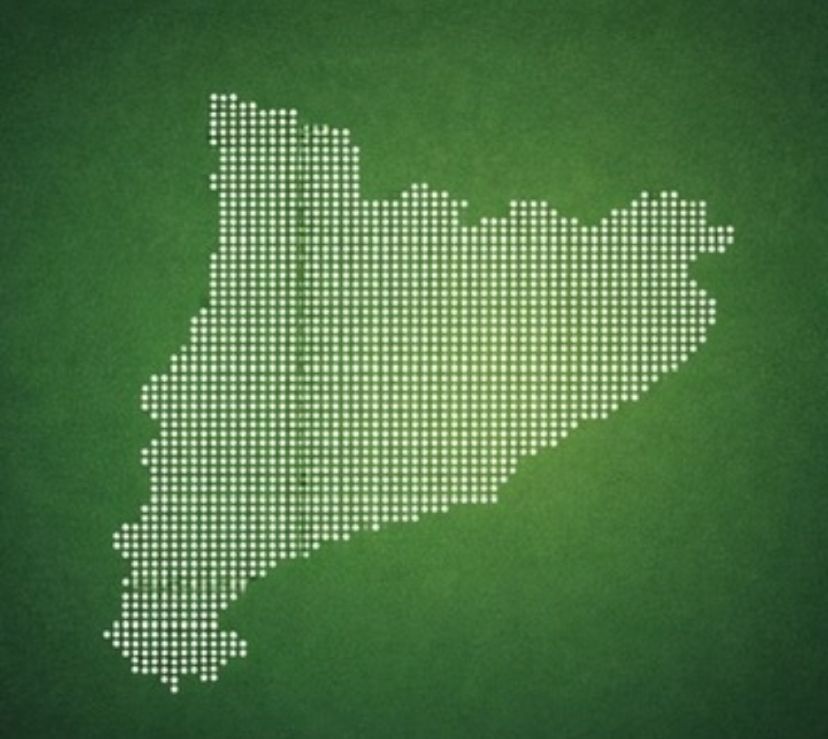 ANC_MolinsDeRei 🎗 tweet media