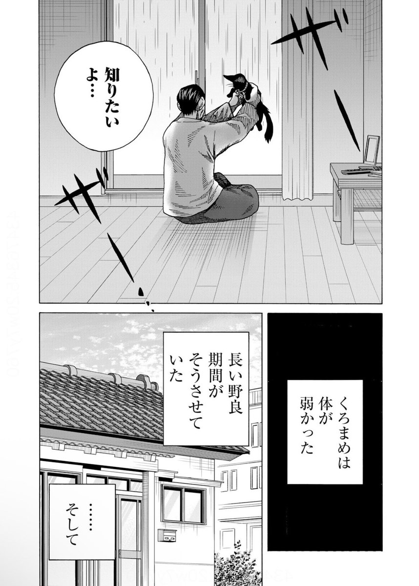 (4/11) 