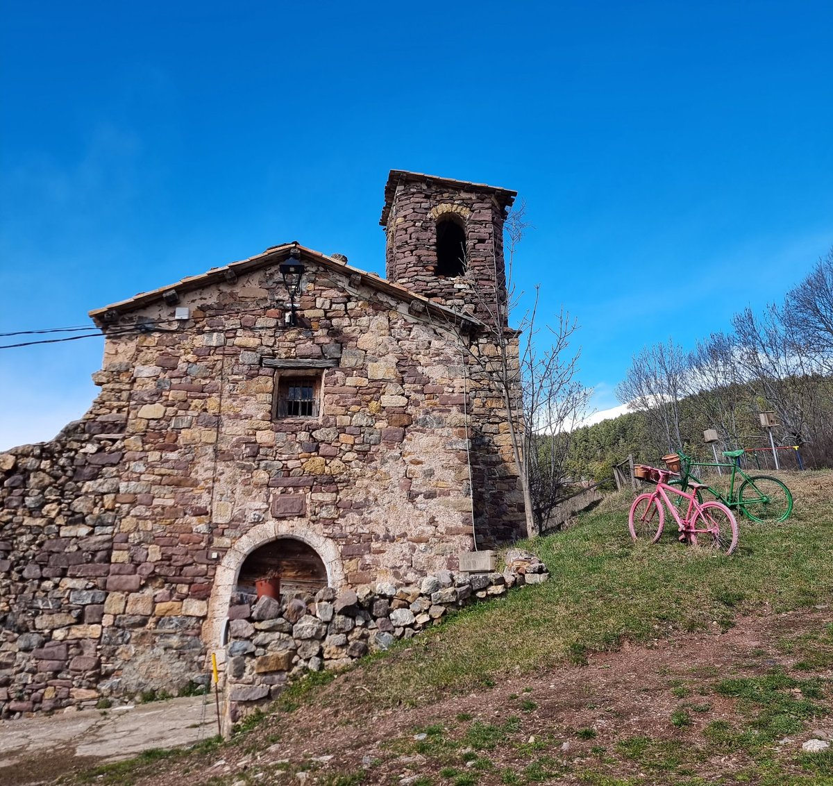 Miss Grape tweet media