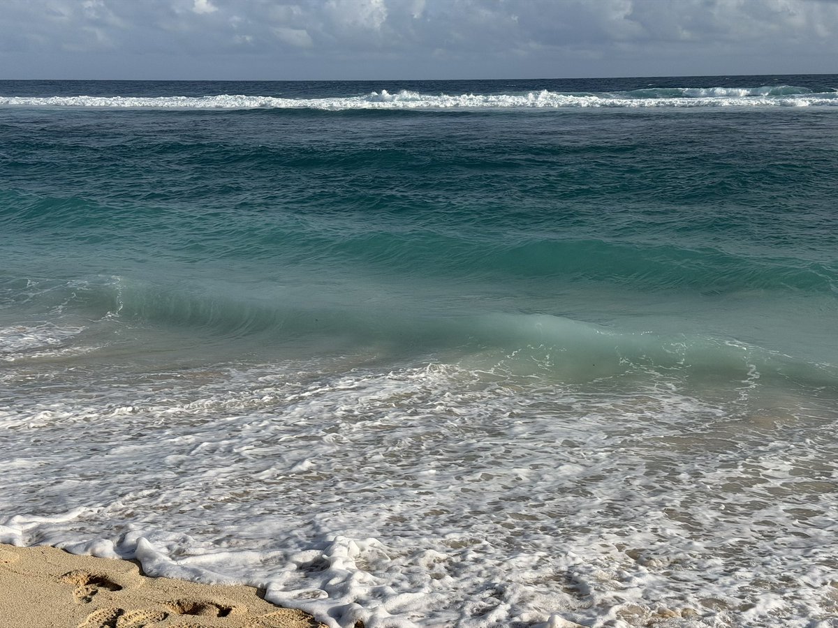 จินโยกอยู่ในฟลอร์ tweet media