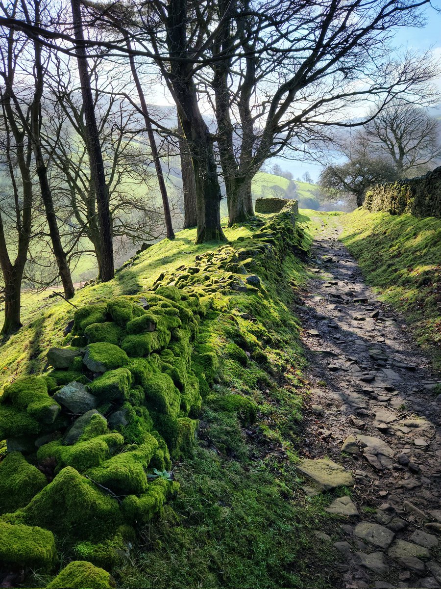 Robbledo tweet media