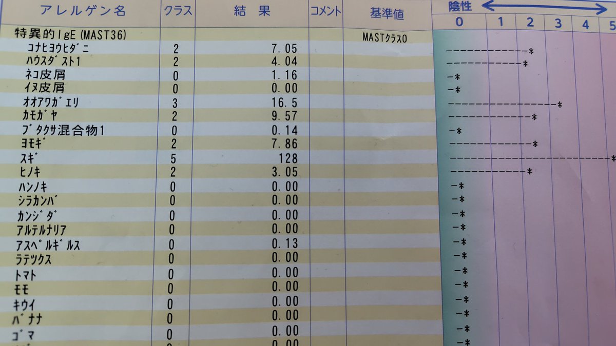 nabeolomen's tweet photo. アレルギー検査の結果
杉だけ異次元でマジふぁっく https://t.co/tGVx0e463R