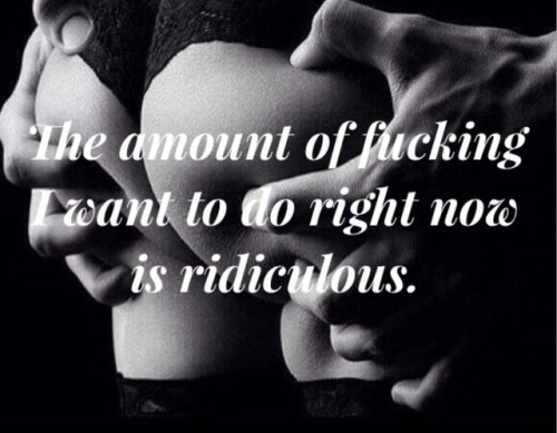 sub-tracked-mind tweet media