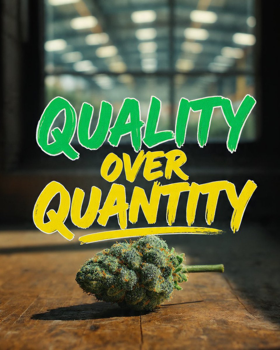 When it comes to cannabis, the real strength is in the careful hands that nurture the plant, not just the sheer size of the operation. We need rules that help craft growers thrive, ensuring quality products and good jobs stay rooted in our communities. Let's make sure the little