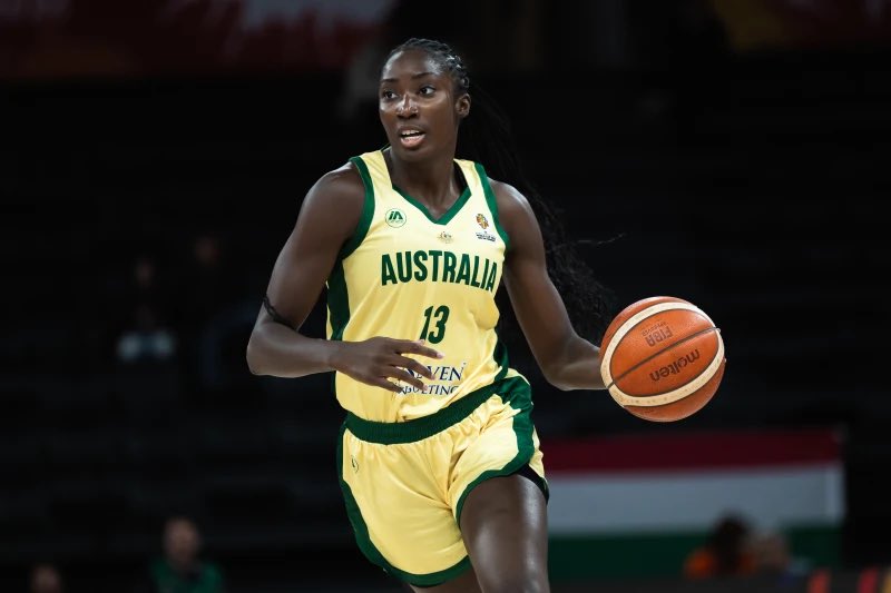 Tom Hersz tweet media