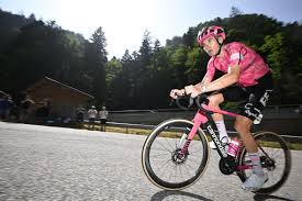 Polo Breitner tweet media