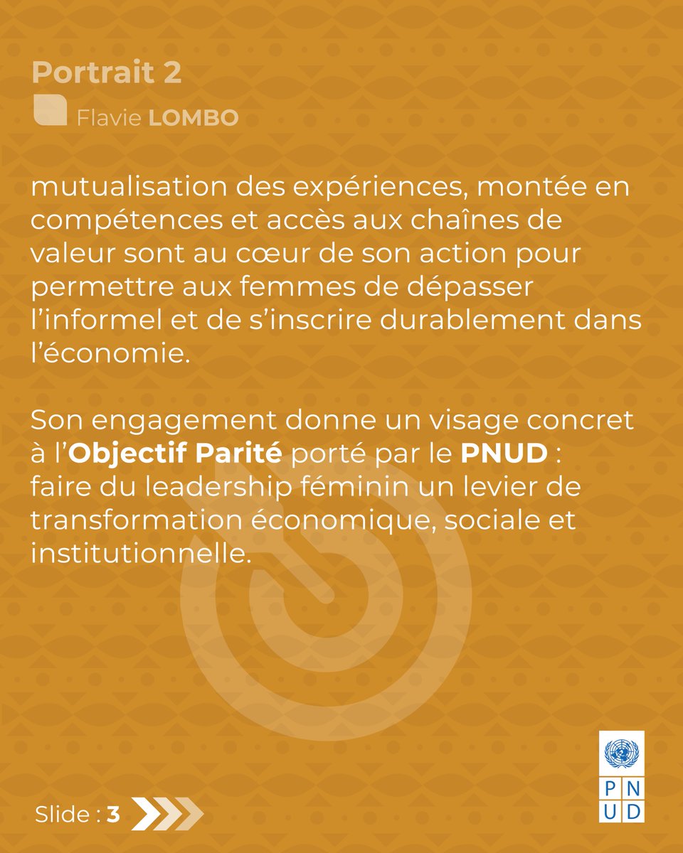 PNUD Rép du Congo tweet media