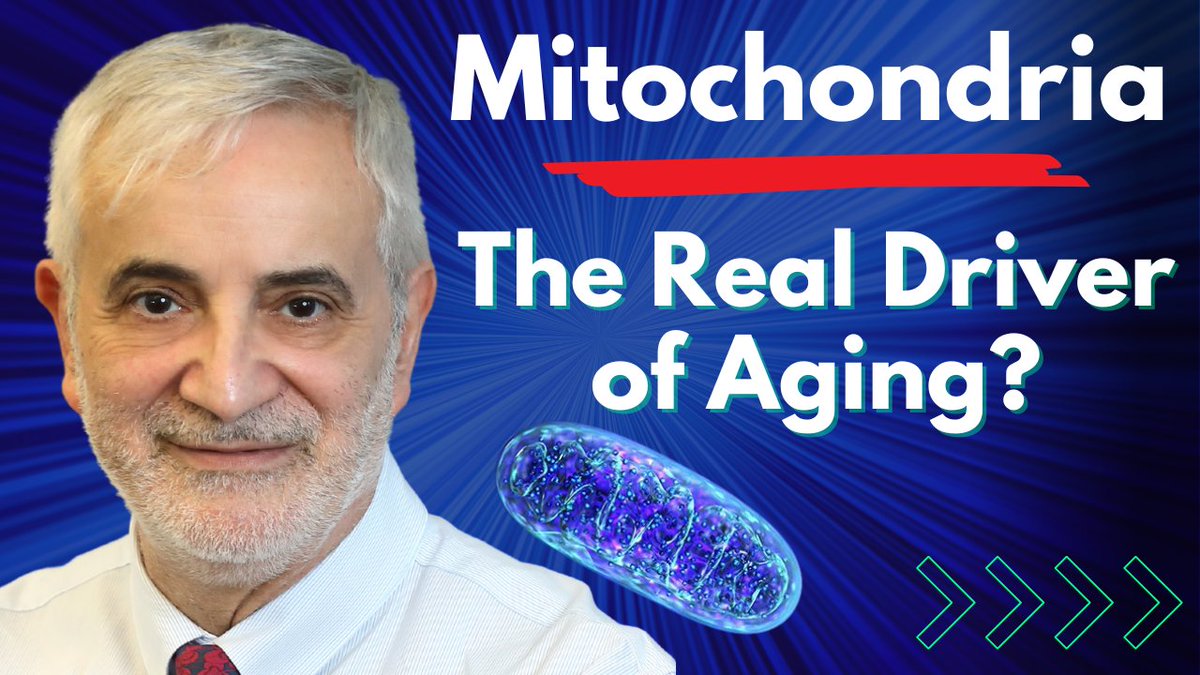 ModernHealthspan tweet media