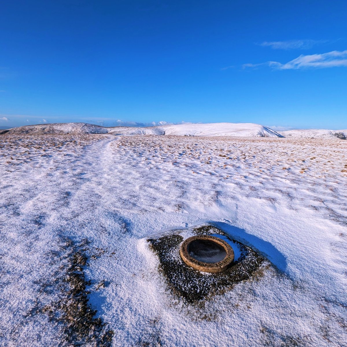 LakesPaul tweet media