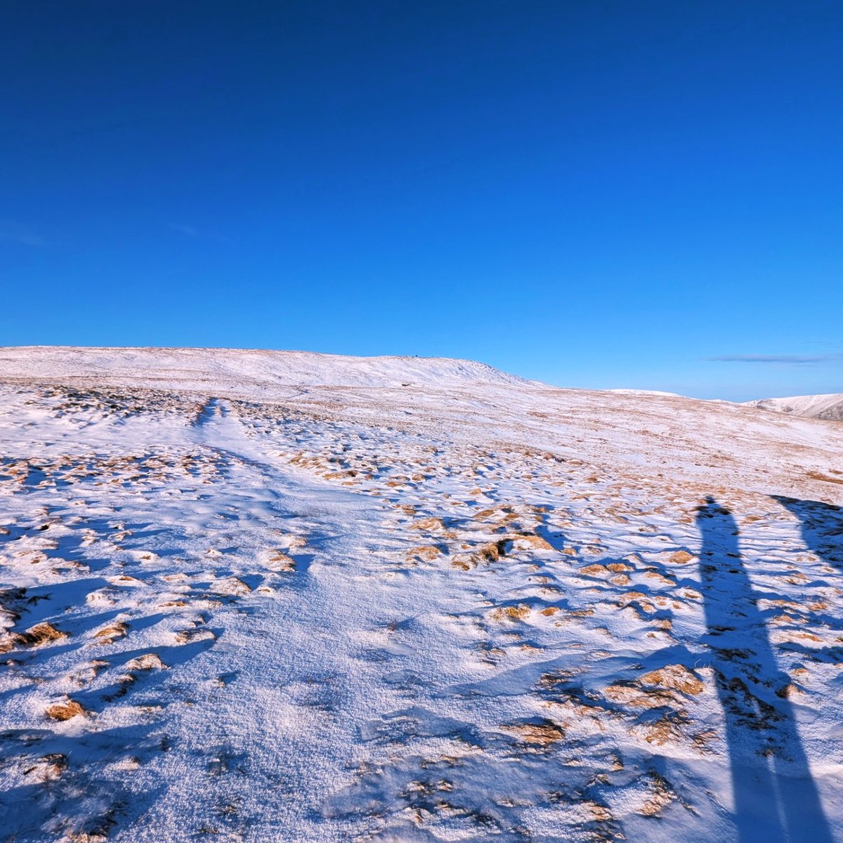 LakesPaul tweet media