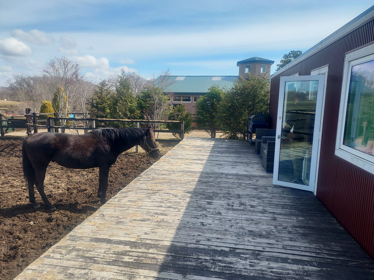 Casper Wei tweet media