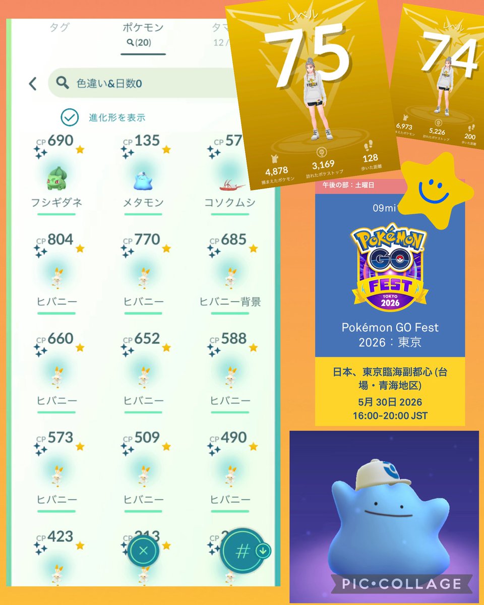 ポケ🫧 tweet media