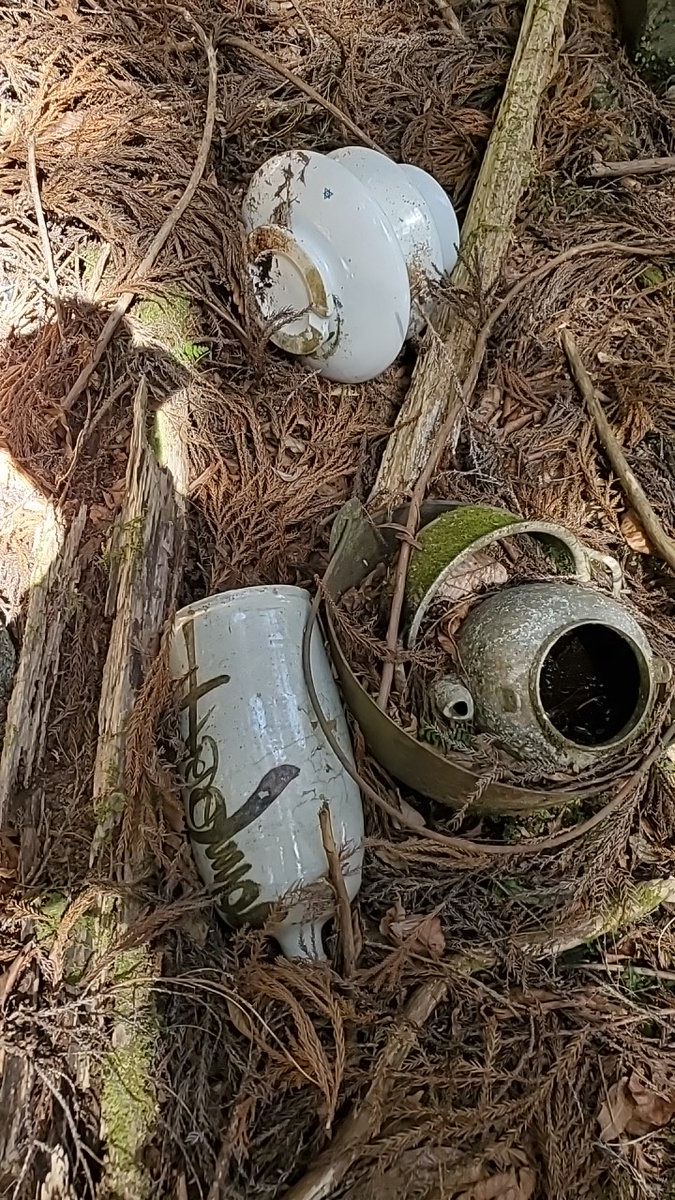 藤田 浅治 tweet media