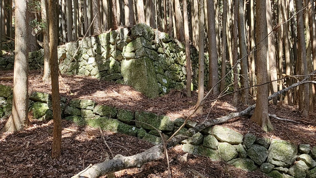 藤田 浅治 tweet media