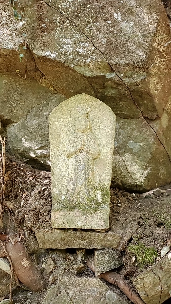 藤田 浅治 tweet media