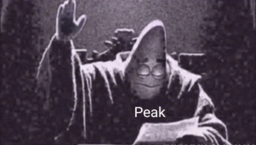 MaxGreat tweet media