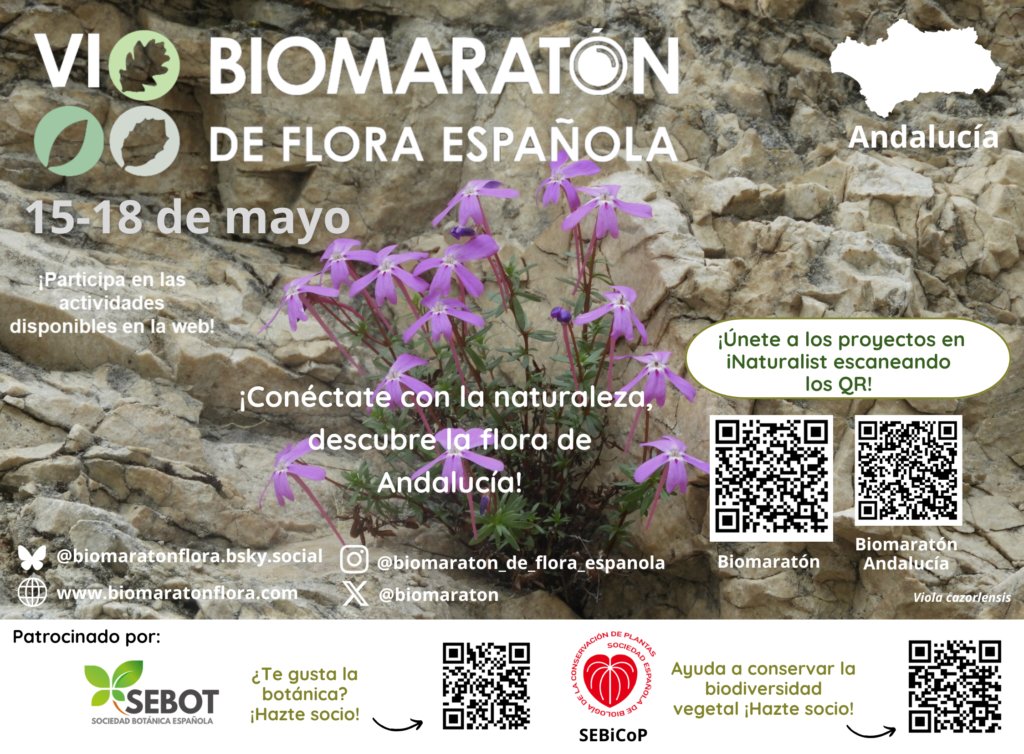 Biomaratón de Flora Española tweet media