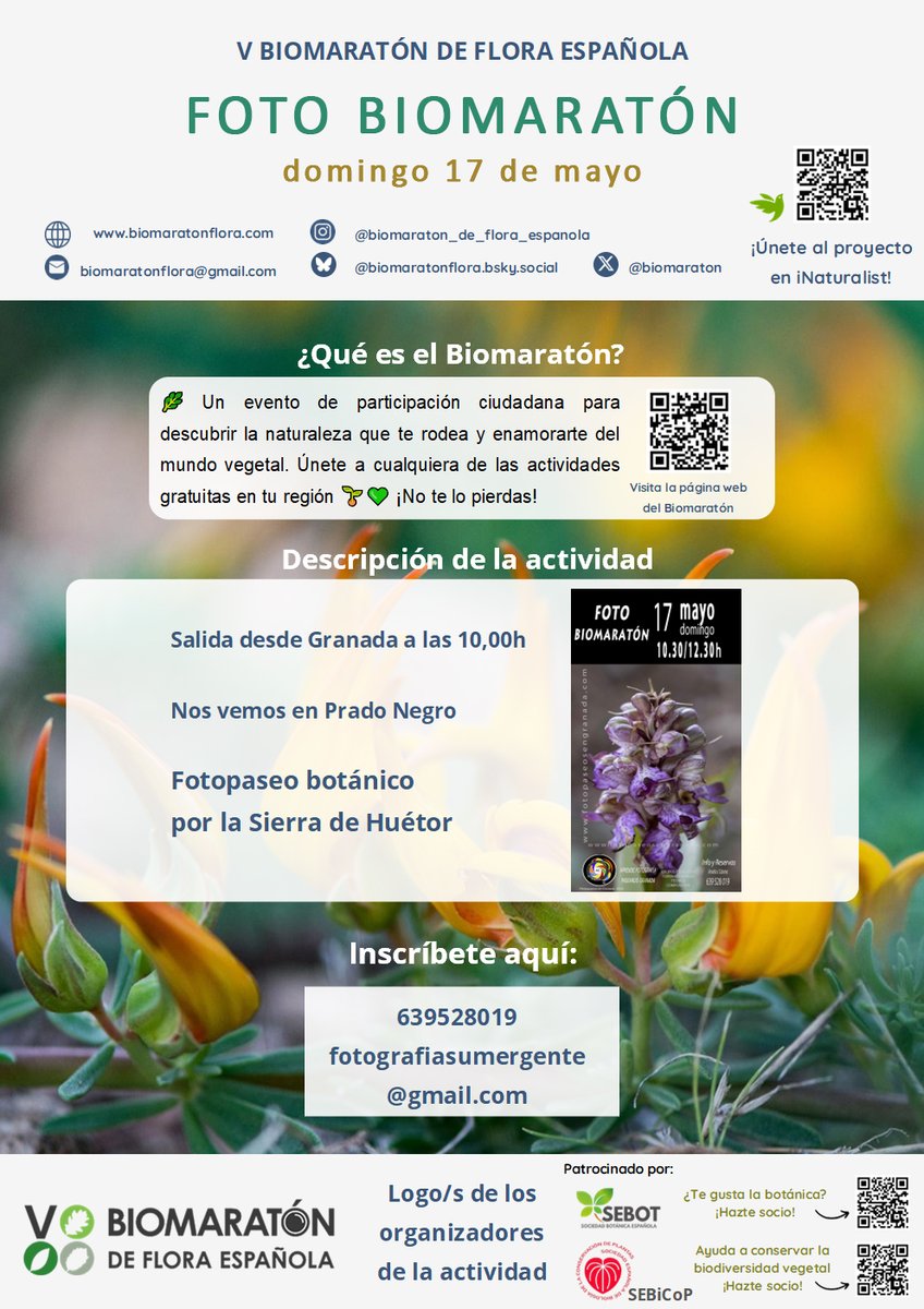 Biomaratón de Flora Española tweet media