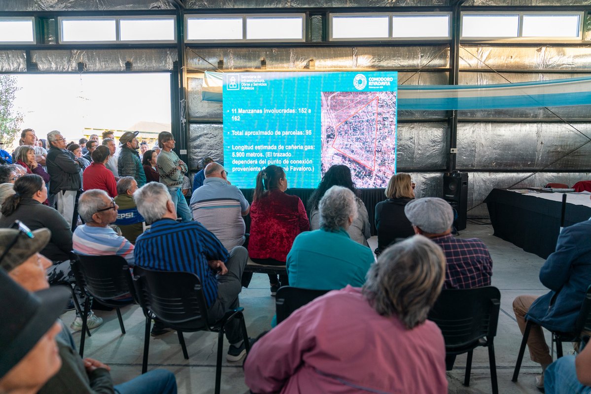 Othar Macharashvili 🤠 tweet media