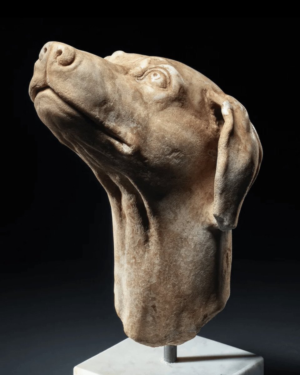 🏛 𝐒𝐭𝐞𝐯𝐞𝐧 🏛 tweet media