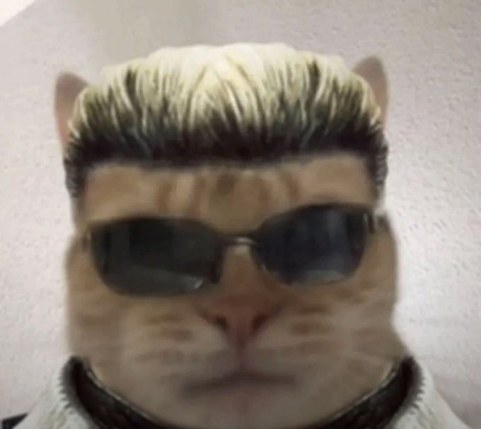 DenshoTheDragon (Live2d Reveal on May 24th) tweet media