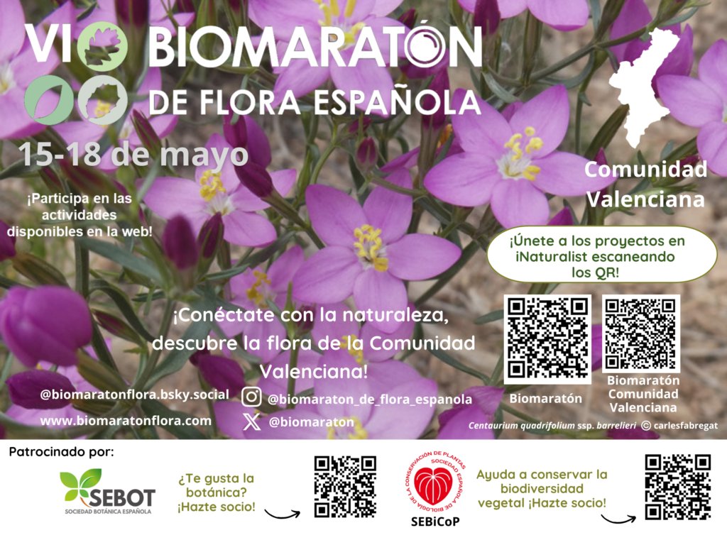 Biomaratón de Flora Española tweet media