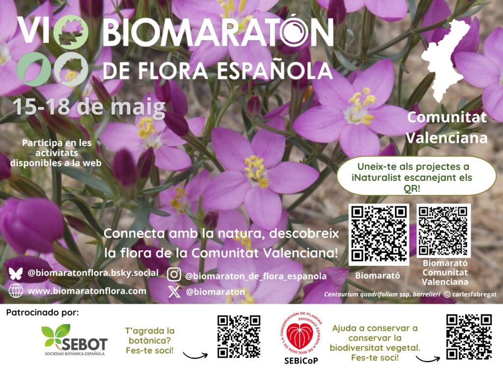 Biomaratón de Flora Española tweet media