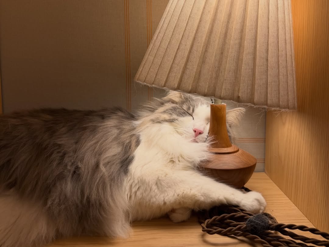 TAEYEON UPDATES tweet media