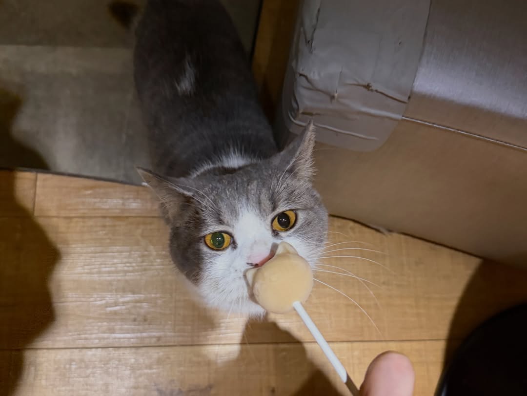 TAEYEON UPDATES tweet media