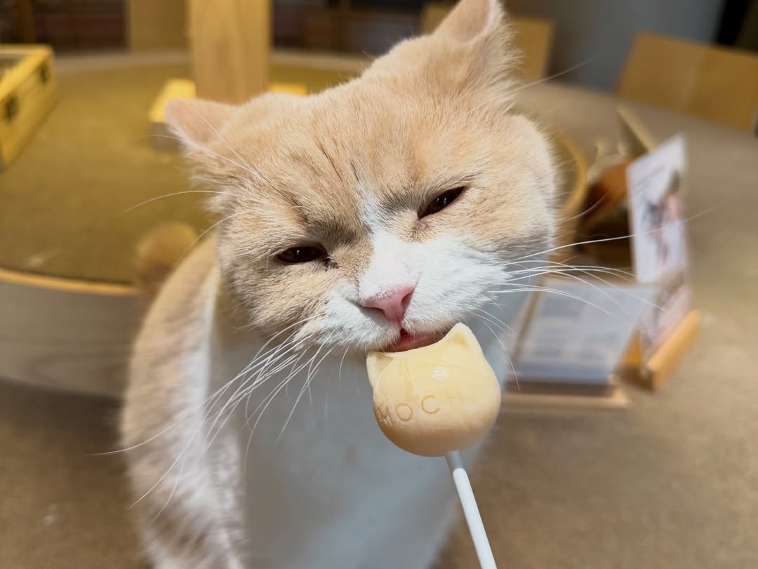 TAEYEON UPDATES tweet media