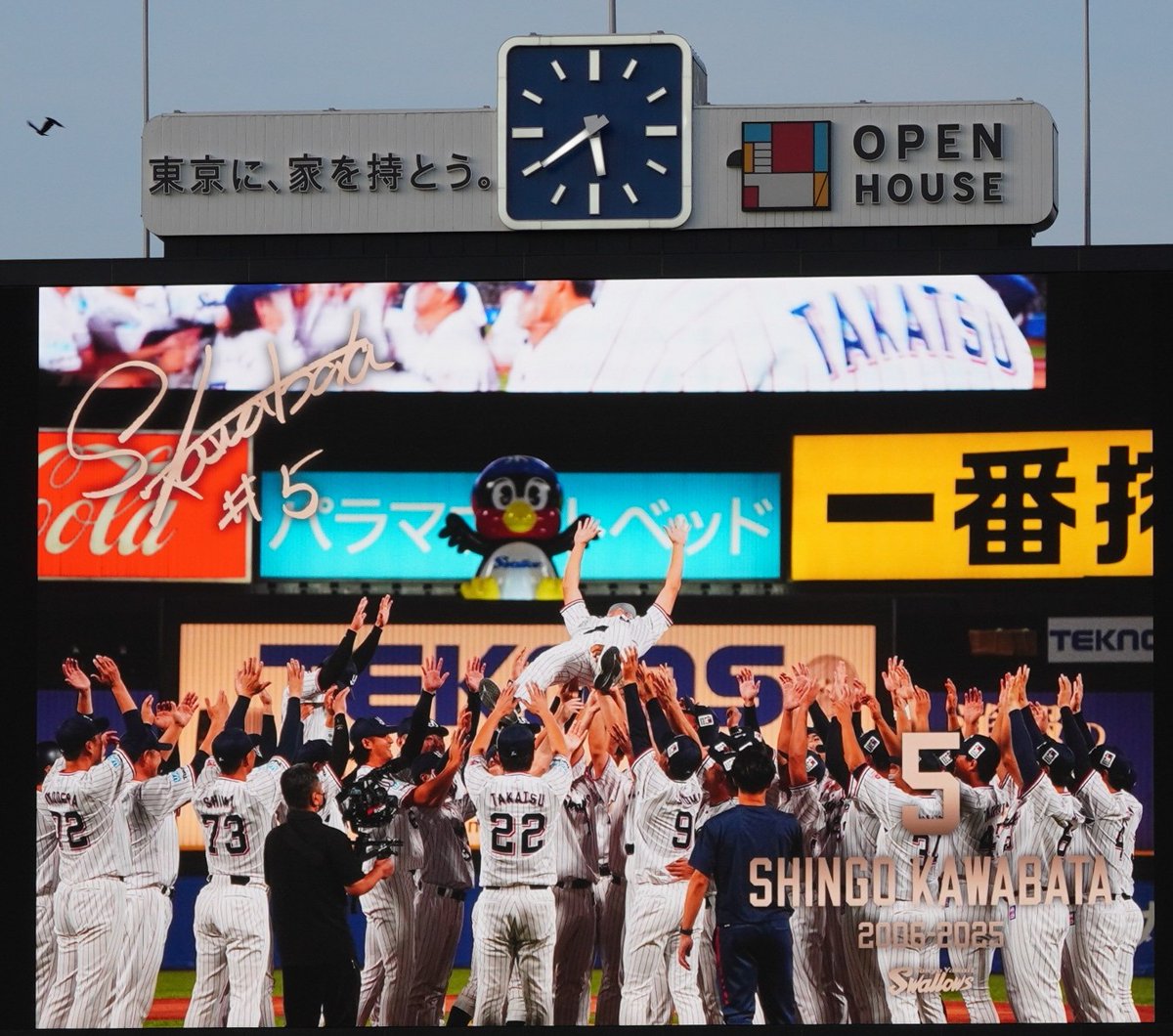 swa_maruchi's tweet photo. ヤクルト球団さま、すてきな写真をたくさんありがとう😢
📷️2026.3.14川端慎吾引退試合
#川端慎吾
#つば九郎 https://t.co/JRCWjJE91v