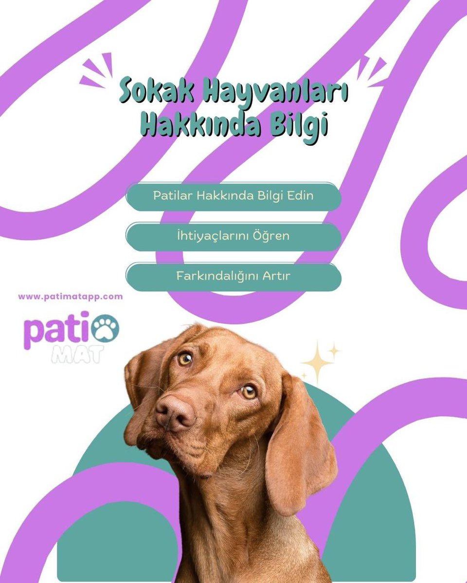 patimatapp's tweet photo. Sokak hayvanları hakkında bilinçlenmek, onların yaşamını güzelleştirmenin ilk adımıdır 🐾💜
Patimat App ile patili dostlarımızı daha yakından tanıyabilir, ihtiyaçlarını öğrenebilir ve farkındalığını artırabilirsin.
Sen de bilgi edin, paylaş ve destek ol ✨

#sokakhayvanları https://t.co/6Ku5beB7vn