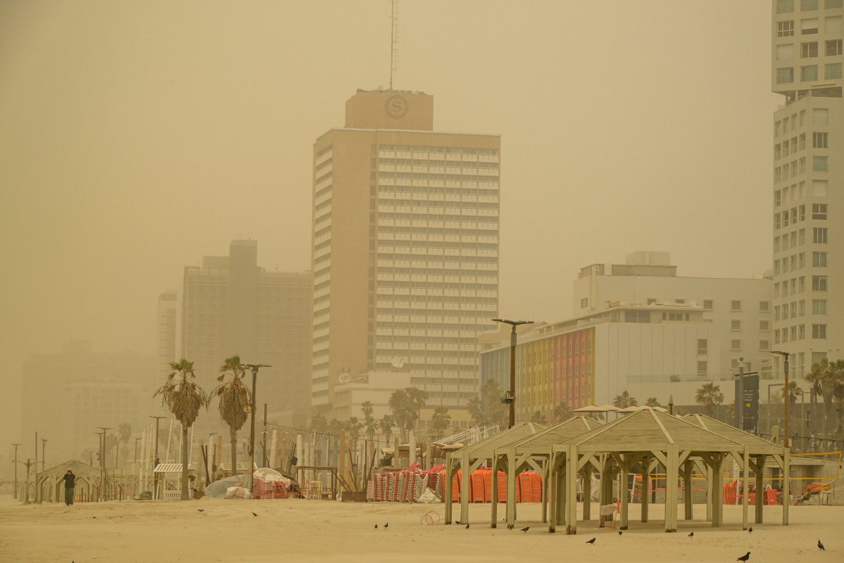 Yulia Pobegailova tweet media